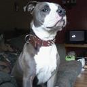 william stultz - @Bildo1979 - Twitter