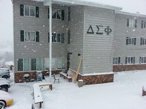 Washington State University
Delta Sigma Phi - Gamma Delta
Better Men, Better Lives
