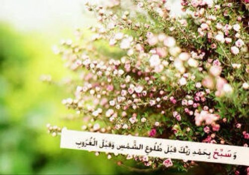 bamarny's profile picture. قليل من الماء ينقذك ، وكثير من الماء يغرقك! تعلم دائماً أن تكتفي بما تملك.!