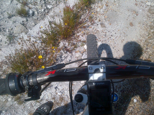 antoniebotes's profile picture. 