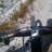 antoniebotes's profile image