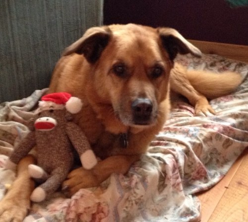 billyclub7's profile picture. 