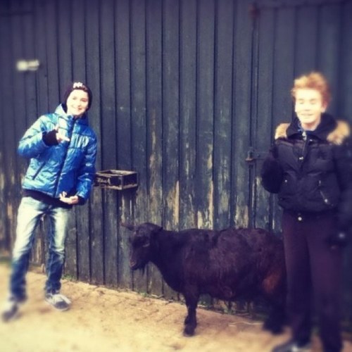 dion_miedsyl's profile picture. 