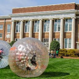 BerryMarketing's profile picture. 