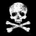 New Zealand Ethical Hacker s Community