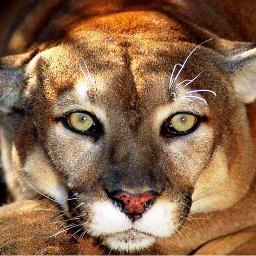 El Zoológico de Culiacán se inauguró el 14 de diciembre de 1958, para fomentar la educación de flora y fauna existente en Sinaloa en un terreno de 2.5 hectáreas