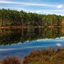 Divy Dixit - @DixitDivy - Twitter