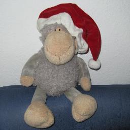 joschbonn's profile picture. In meinem Alter wird Zeit kostbar...
ich mache nur noch das, was ich will.