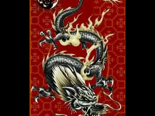 Red Dragon Fighting Society.K1 fighting, MMA, Nin-jutsu, Ju-jusu. Based in Alberton Gauteng.@ShihanLucas 079 572 7060