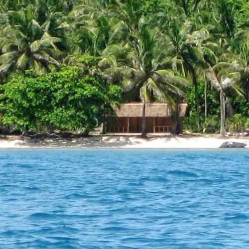 parangisland's profile picture. Tour and Travel