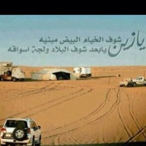 شبيب ناصر البصيرات