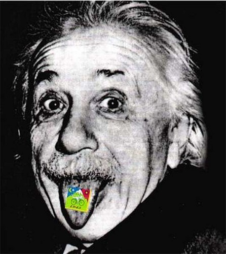 a_lsd Profile Picture