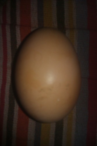 Mora215's profile picture. 