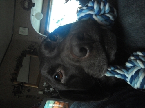 samjespers's profile picture. sj