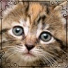 Шутить надо для того, чтобы совершать серьезные дела.