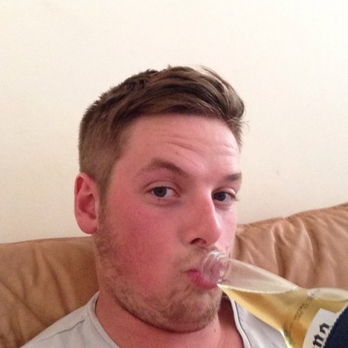 dan43h's profile picture. 