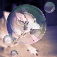 Seren Aykan (@serenaloglu) Twitter profile photo