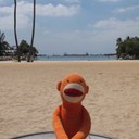 Paul Davie - @shocked09 - Twitter