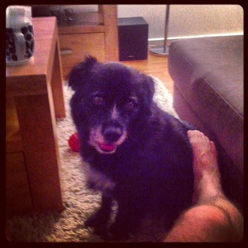 huddo31's profile picture. Love work, sport life and my wife