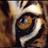 L_11_'s profile image