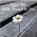 Doreen Goodrich - @Dortini - Twitter