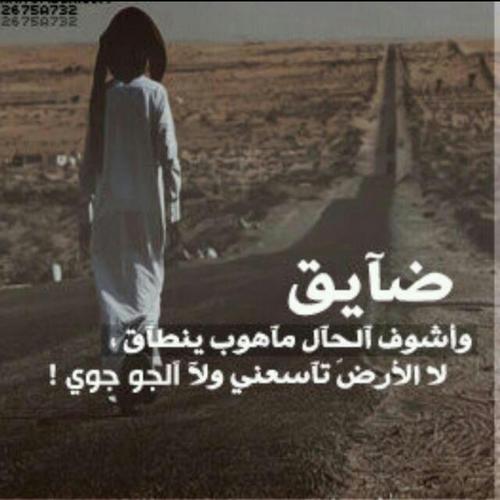 انا لست شاعر ولكني اقول كلام جميل