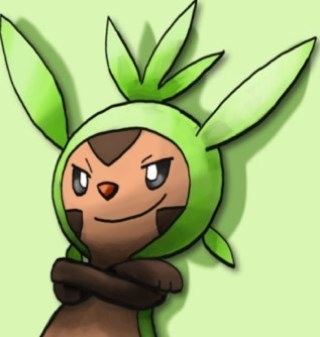 Chespin24 Profile Picture