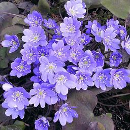 AstaDudko's profile picture. 