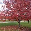 Amy Wolfinger - @amyabbott82 - Twitter