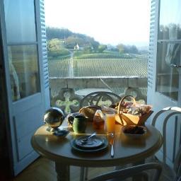 bellawinetours's profile picture. Ever wanted to taste the finest wines in the world? Eat well, drink classy, meet interesting wine makers, chateau owners and wine traders.