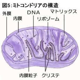 y32ch2r5's profile picture. 割と大体なんとかなる