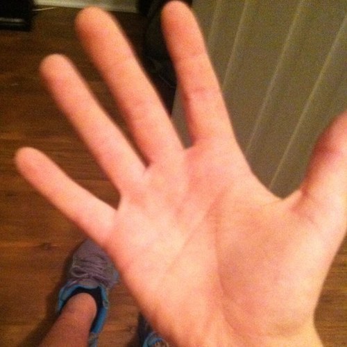 Lmoreno318's profile picture. 