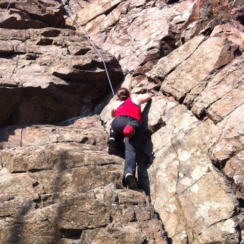 punchardt's profile picture. 