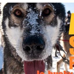 http://t.co/eQSmVLEY
Le site du Husky Sibérien a pour but de réunir le plus d'informations concernant les Huskies et plus généralement les Huskies Sibériens. R