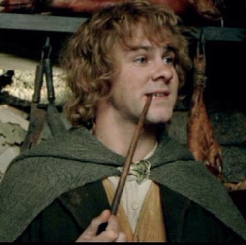 I've a view names but most known me as Merry! Esquire of Rohan and last but not least cousin of Pippin! Also part of the #TastyFamily
