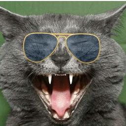Enquanto vc olha isso aqui eu estou lentamente pegando no seu ânus! Vip no @ClubeFollowBack