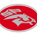 South Pointe AD (@gospstallions) Twitter profile photo