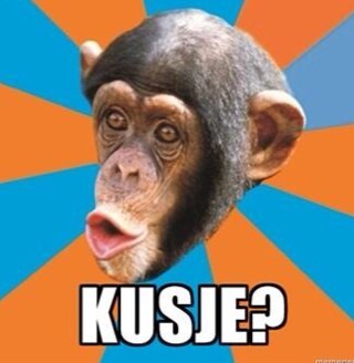 De meest GENIALE foto's!!!!! Volg en krijg een followback