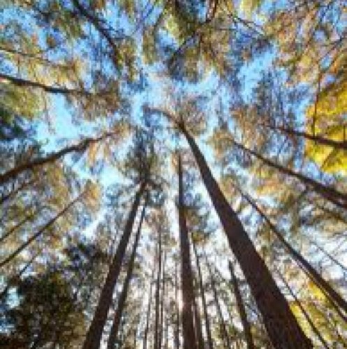 nils_sp's profile picture. 