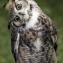 Chris Wulf - @ChrisWulf3 - Twitter