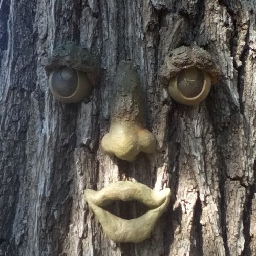 ForgetitA's profile picture. 