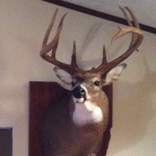 bmichael1775's profile picture. 