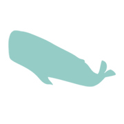 Seu site de Interatividade! Tudo sobre os melhores eventos do RN.