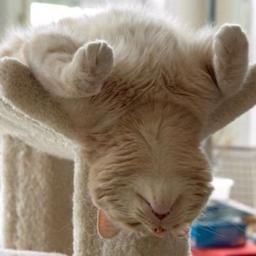 Fatigué