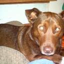 crystal carson - @crystal10449569 - Twitter