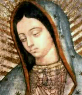 Rosytalopez087's profile picture. 