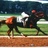 easygoer67's profile image