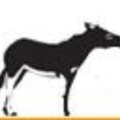 HendrikMertens's profile picture. Niet dol op zeulen met bagage, maar wél gewonnen voor slow travel? Op de blog Modestine vind je inspiratie voor wandelen en fietsen met bagagevervoer.