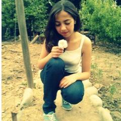 Holaaaa ◕ ‿‿ ◕ Mee Encaaantaa Haceer Reiir a las Personaaas :)  y Vivoo Laa Vidaa ;) Siguemee y te sigoo :)

~SONRIE ES GRATIIS~ *.*