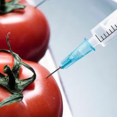 ¿No sabes lo qué es la Biotecnología? ¿Estás interesado en ella? Estás en el twitter adecuado, artículos, noticias...follow us! http://t.co/oPRFVWUg